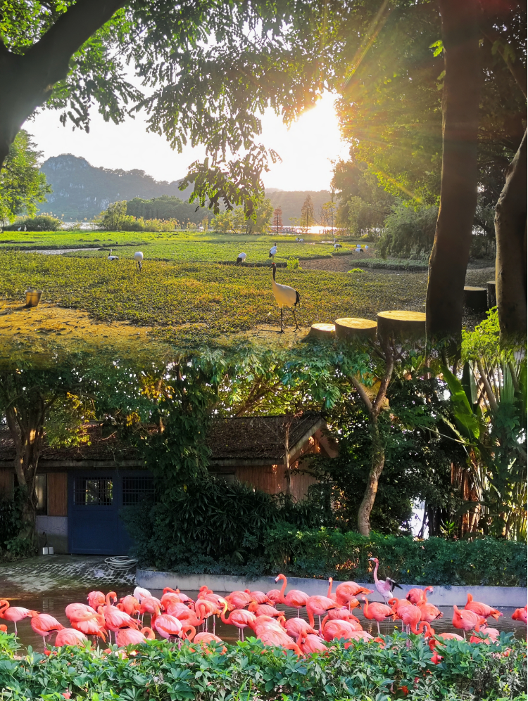 圖片9.png 圖片9.png